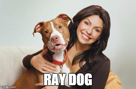 so this is where raydog went | RAY DOG | image tagged in raydog | made w/ Imgflip meme maker