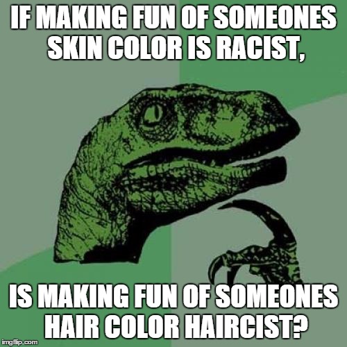 Philosoraptor | IF MAKING FUN OF SOMEONES SKIN COLOR IS RACIST, IS MAKING FUN OF SOMEONES HAIR COLOR HAIRCIST? | image tagged in memes,philosoraptor | made w/ Imgflip meme maker
