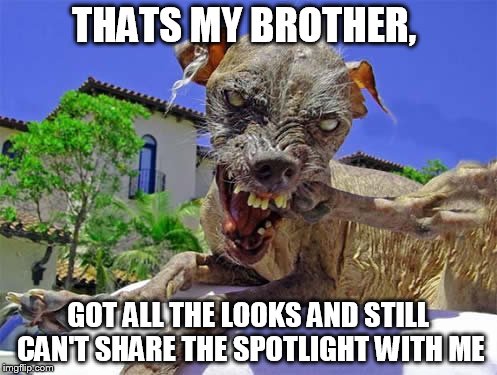 THATS MY BROTHER, GOT ALL THE LOOKS AND STILL CAN'T SHARE THE SPOTLIGHT WITH ME | made w/ Imgflip meme maker