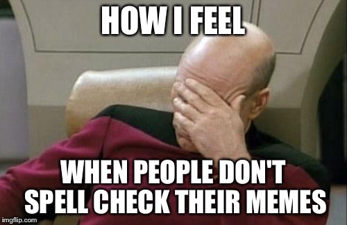 Captain Picard Facepalm Meme | HOW I FEEL WHEN PEOPLE DON'T SPELL CHECK THEIR MEMES | image tagged in memes,captain picard facepalm | made w/ Imgflip meme maker