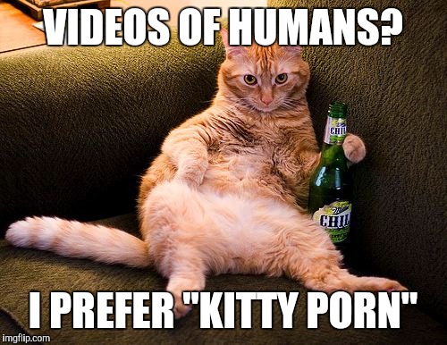 VIDEOS OF HUMANS? I PREFER "KITTY PORN" | made w/ Imgflip meme maker