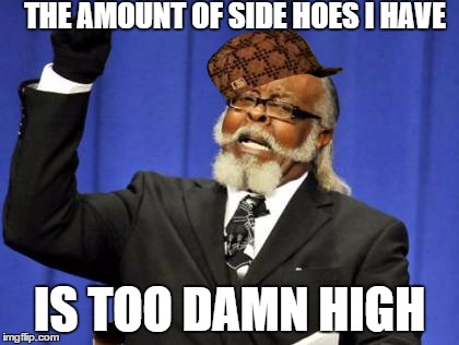 Too Damn High | THE AMOUNT OF SIDE HOES I HAVE IS TOO DAMN HIGH | image tagged in memes,too damn high,scumbag | made w/ Imgflip meme maker