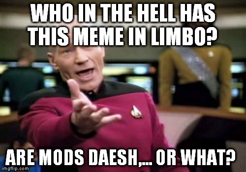 Picard Wtf Meme | WHO IN THE HELL HAS THIS MEME IN LIMBO? ARE MODS DAESH,... OR WHAT? | image tagged in memes,picard wtf | made w/ Imgflip meme maker