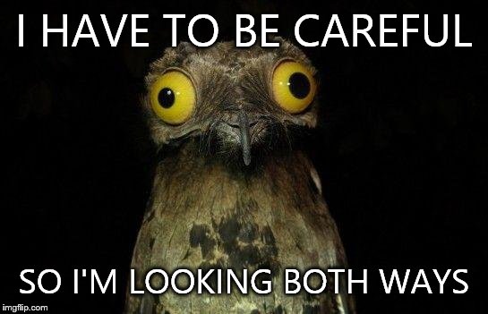 Crazy eyed bird | I HAVE TO BE CAREFUL SO I'M LOOKING BOTH WAYS | image tagged in crazy eyed bird | made w/ Imgflip meme maker