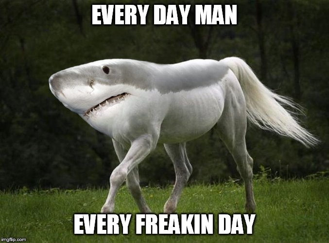 EVERY DAY MAN EVERY FREAKIN DAY | made w/ Imgflip meme maker