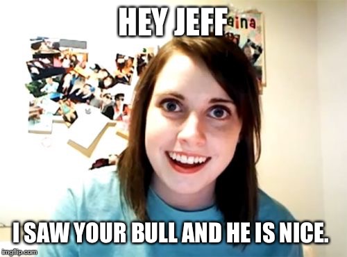 Overly Attached Girlfriend | HEY JEFF I SAW YOUR BULL AND HE IS NICE. | image tagged in memes,overly attached girlfriend | made w/ Imgflip meme maker