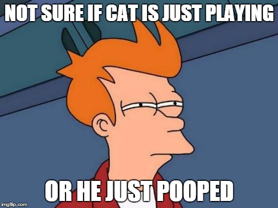 Futurama Fry | NOT SURE IF CAT IS JUST PLAYING OR HE JUST POOPED | image tagged in memes,futurama fry | made w/ Imgflip meme maker