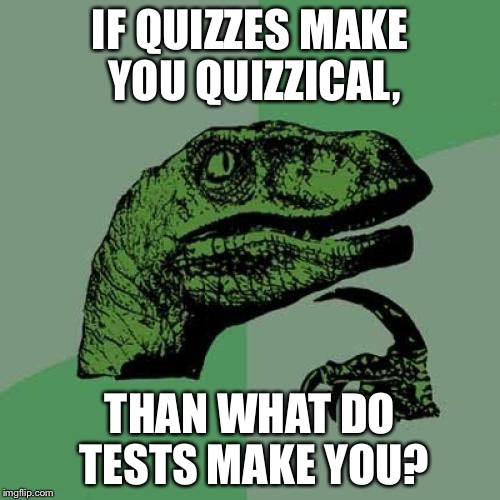 Philosoraptor Meme | IF QUIZZES MAKE YOU QUIZZICAL, THAN WHAT DO TESTS MAKE YOU? | image tagged in memes,philosoraptor | made w/ Imgflip meme maker