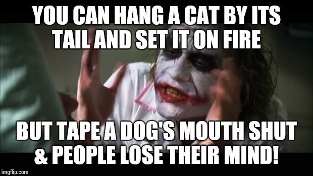 And everybody loses their minds Meme | YOU CAN HANG A CAT BY ITS TAIL AND SET IT ON FIRE BUT TAPE A DOG'S MOUTH SHUT & PEOPLE LOSE THEIR MIND! | image tagged in memes,and everybody loses their minds | made w/ Imgflip meme maker