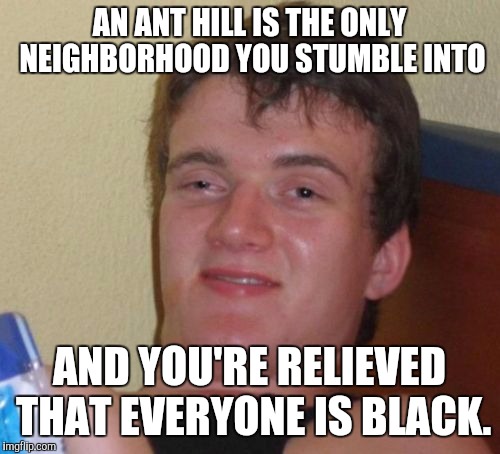 10 Guy Meme | AN ANT HILL IS THE ONLY NEIGHBORHOOD YOU STUMBLE INTO AND YOU'RE RELIEVED THAT EVERYONE IS BLACK. | image tagged in memes,10 guy,AdviceAnimals | made w/ Imgflip meme maker