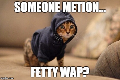 Hoody Cat | SOMEONE METION... FETTY WAP? | image tagged in memes,hoody cat | made w/ Imgflip meme maker