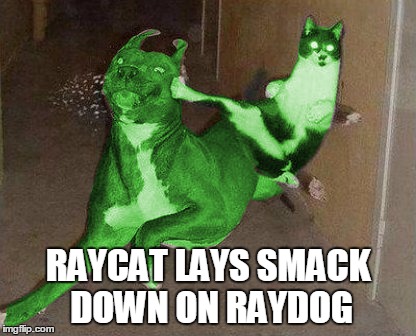 RAYCAT LAYS SMACK DOWN ON RAYDOG | made w/ Imgflip meme maker