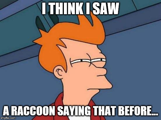 Futurama Fry Meme | I THINK I SAW A RACCOON SAYING THAT BEFORE... | image tagged in memes,futurama fry | made w/ Imgflip meme maker