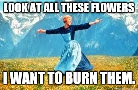 Burn the Flowers (I love plants, just thought it would be funny :3) | LOOK AT ALL THESE FLOWERS I WANT TO BURN THEM. | image tagged in memes,look at all these,flowers,burn them all | made w/ Imgflip meme maker