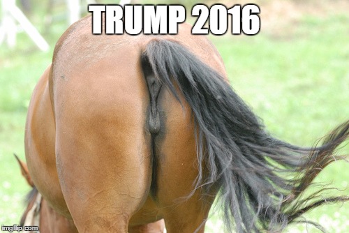 TRUMP 2016 | image tagged in trump,trump 2016 | made w/ Imgflip meme maker