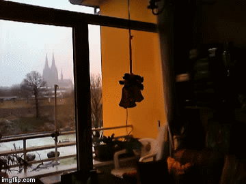 L | image tagged in gifs,christmas | made w/ Imgflip video-to-gif maker