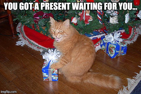 YOU GOT A PRESENT WAITING FOR YOU... | made w/ Imgflip meme maker