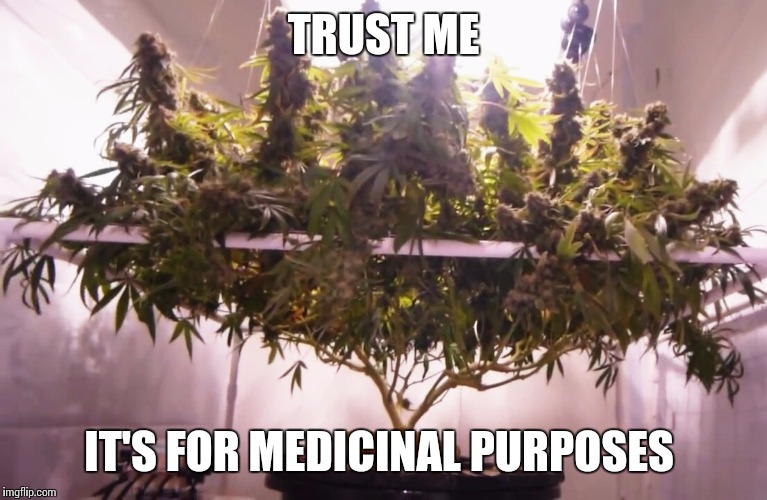 Marijuana One Mic | TRUST ME IT'S FOR MEDICINAL PURPOSES | image tagged in marijuana one mic | made w/ Imgflip meme maker