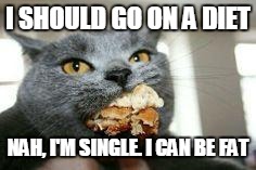 Cat-eating | I SHOULD GO ON A DIET NAH, I'M SINGLE. I CAN BE FAT | image tagged in cat-eating | made w/ Imgflip meme maker