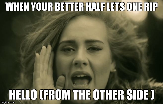 Adele Hello | WHEN YOUR BETTER HALF LETS ONE RIP HELLO (FROM THE OTHER SIDE ) | image tagged in adele hello | made w/ Imgflip meme maker