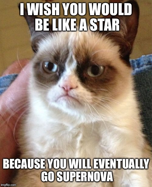 Grumpy Cat Meme | I WISH YOU WOULD BE LIKE A STAR BECAUSE YOU WILL EVENTUALLY GO SUPERNOVA | image tagged in memes,grumpy cat | made w/ Imgflip meme maker