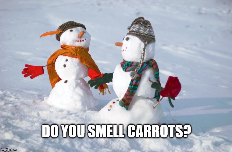 An oldie but a goodie :) | DO YOU SMELL CARROTS? | image tagged in snowmen,carrots | made w/ Imgflip meme maker