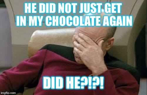 Captain Picard Facepalm | HE DID NOT JUST GET IN MY CHOCOLATE AGAIN DID HE?!?! | image tagged in memes,captain picard facepalm | made w/ Imgflip meme maker