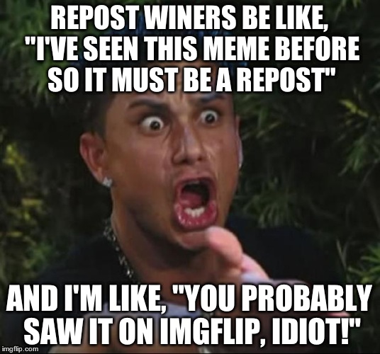 DJ Pauly D | REPOST WINERS BE LIKE, "I'VE SEEN THIS MEME BEFORE SO IT MUST BE A REPOST" AND I'M LIKE, "YOU PROBABLY SAW IT ON IMGFLIP, IDIOT!" | image tagged in memes,dj pauly d | made w/ Imgflip meme maker