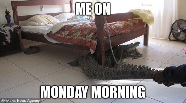 ME ON MONDAY MORNING | made w/ Imgflip meme maker