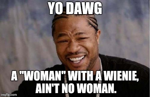 Yo Dawg Heard You Meme | YO DAWG A "WOMAN" WITH A WIENIE, AIN'T NO WOMAN. | image tagged in memes,yo dawg heard you | made w/ Imgflip meme maker
