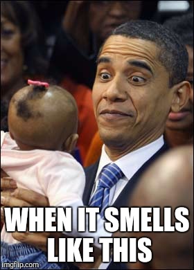 WHEN IT SMELLS LIKE THIS | made w/ Imgflip meme maker