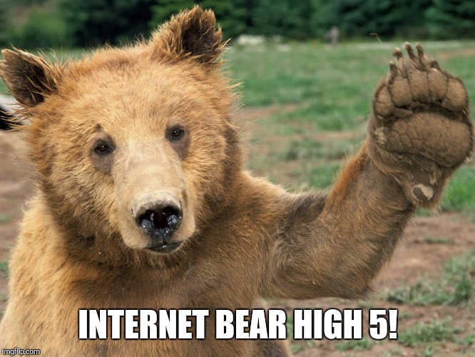 INTERNET BEAR HIGH 5! | made w/ Imgflip meme maker