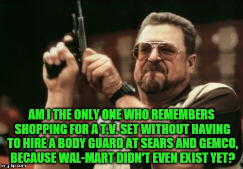 Am I The Only One Around Here | AM I THE ONLY ONE WHO REMEMBERS SHOPPING FOR A T.V. SET WITHOUT HAVING TO HIRE A BODY GUARD AT SEARS AND GEMCO, BECAUSE WAL-MART DIDN'T EVEN | image tagged in memes,am i the only one around here | made w/ Imgflip meme maker