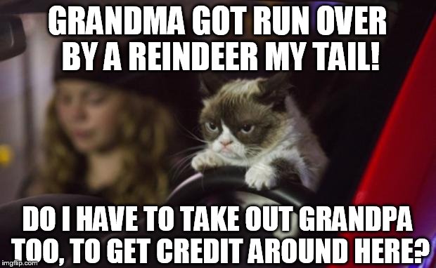 There are plenty of people on MY Christmas "list". | GRANDMA GOT RUN OVER BY A REINDEER MY TAIL! DO I HAVE TO TAKE OUT GRANDPA TOO, TO GET CREDIT AROUND HERE? | image tagged in grumpy cat driving,memes,funny,animals,grumpy cat,christmas | made w/ Imgflip meme maker