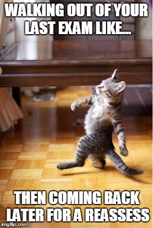 Walking Cat | WALKING OUT OF YOUR LAST EXAM LIKE... THEN COMING BACK LATER FOR A REASSESS | image tagged in walking cat | made w/ Imgflip meme maker