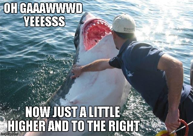 Sharks will be sharks | OH GAAAWWWD YEEESSS NOW JUST A LITTLE HIGHER AND TO THE RIGHT | image tagged in shark soother,shark,funny,funny animals,animals | made w/ Imgflip meme maker
