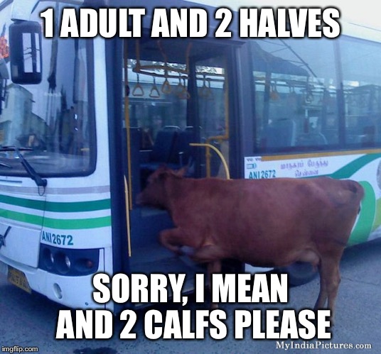 1 ADULT AND 2 HALVES SORRY, I MEAN AND 2 CALFS PLEASE | image tagged in cow bus | made w/ Imgflip meme maker