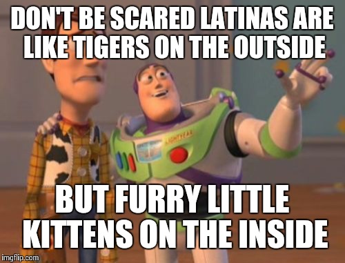 X, X Everywhere Meme | DON'T BE SCARED LATINAS ARE LIKE TIGERS ON THE OUTSIDE BUT FURRY LITTLE KITTENS ON THE INSIDE | image tagged in memes,x x everywhere | made w/ Imgflip meme maker