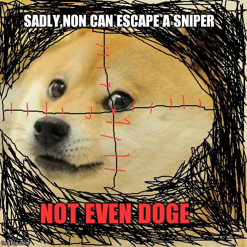 Doge Meme | SADLY,NON CAN ESCAPE A SNIPER NOT EVEN DOGE | image tagged in memes,doge | made w/ Imgflip meme maker