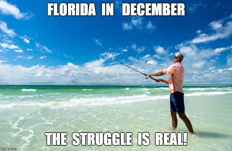 Florida in December | FLORIDA  IN   DECEMBER THE  STRUGGLE  IS  REAL! | image tagged in snow,cold,north | made w/ Imgflip meme maker