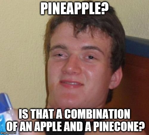 10 Guy | PINEAPPLE? IS THAT A COMBINATION OF AN APPLE AND A PINECONE? | image tagged in memes,10 guy | made w/ Imgflip meme maker