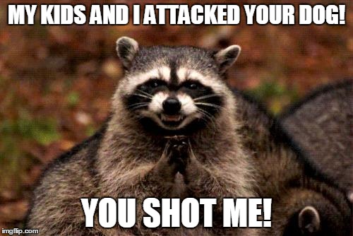 Evil Plotting Raccoon | MY KIDS AND I ATTACKED YOUR DOG! YOU SHOT ME! | image tagged in memes,evil plotting raccoon | made w/ Imgflip meme maker