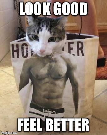 Muscle cat | LOOK GOOD FEEL BETTER | image tagged in muscle cat | made w/ Imgflip meme maker