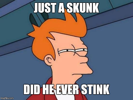 Futurama Fry Meme | JUST A SKUNK DID HE EVER STINK | image tagged in memes,futurama fry | made w/ Imgflip meme maker