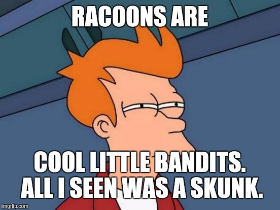 Futurama Fry Meme | RACOONS ARE COOL LITTLE BANDITS. ALL I SEEN WAS A SKUNK. | image tagged in memes,futurama fry | made w/ Imgflip meme maker
