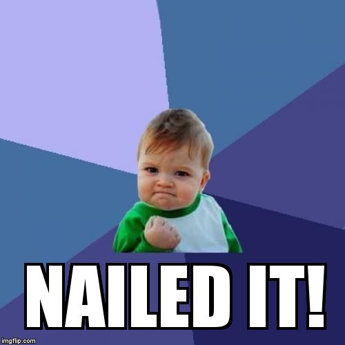 Success Kid Meme | NAILED IT! | image tagged in memes,success kid | made w/ Imgflip meme maker