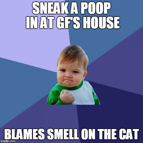 Success Kid Meme | SNEAK A POOP IN AT GF'S HOUSE BLAMES SMELL ON THE CAT | image tagged in memes,success kid | made w/ Imgflip meme maker