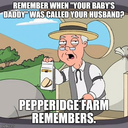 Pepperidge Farm Remembers | REMEMBER WHEN "YOUR BABY'S DADDY" WAS CALLED YOUR HUSBAND? PEPPERIDGE FARM REMEMBERS. | image tagged in memes,pepperidge farm remembers,funny | made w/ Imgflip meme maker
