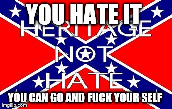 Confederate Flag | YOU HATE IT YOU CAN GO AND F**K YOUR SELF | image tagged in confederate flag | made w/ Imgflip meme maker