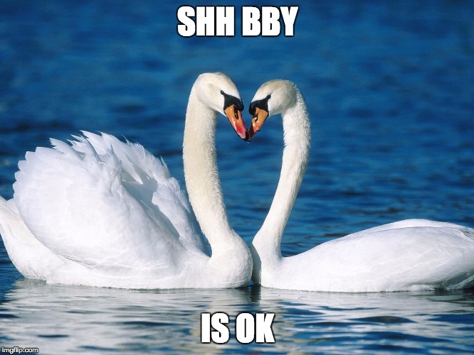 SHH BBY IS OK | made w/ Imgflip meme maker